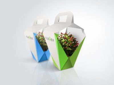 Оригинальный дизайн упаковки для домашних растений компании Flower Garden