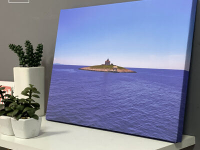 Canvas (1) Canvas (1)